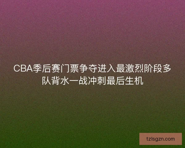 CBA季后赛门票争夺进入最激烈阶段多队背水一战冲刺最后生机