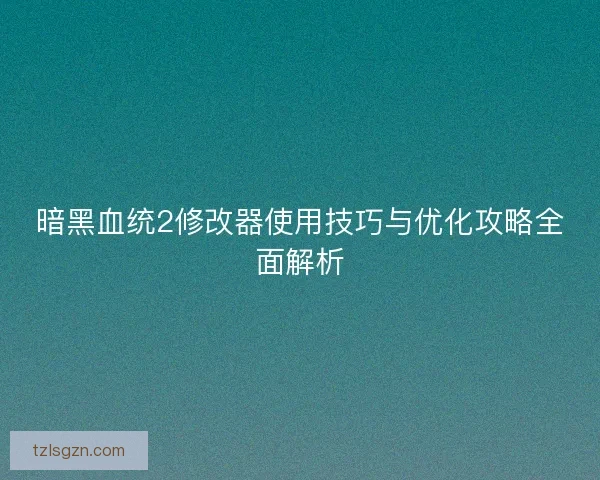 暗黑血统2修改器使用技巧与优化攻略全面解析