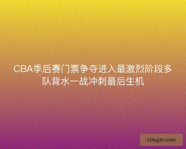 CBA季后赛门票争夺进入最激烈阶段多队背水一战冲刺最后生机